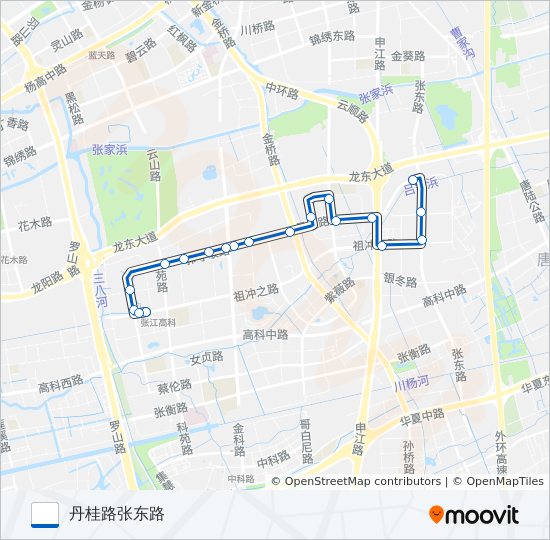 张江环线 bus Line Map
