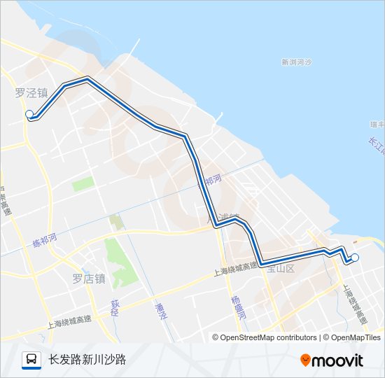 公交罗泾班路的线路图