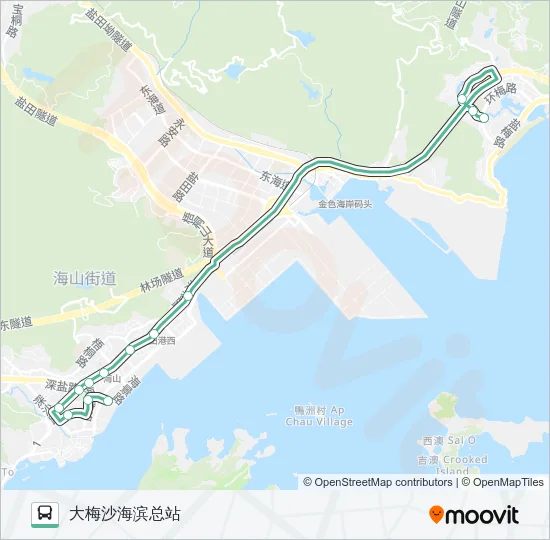 239 Bus Line Map