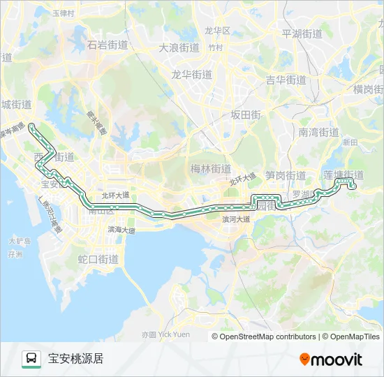 311 Bus Line Map
