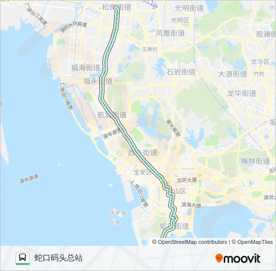 331 Bus Line Map