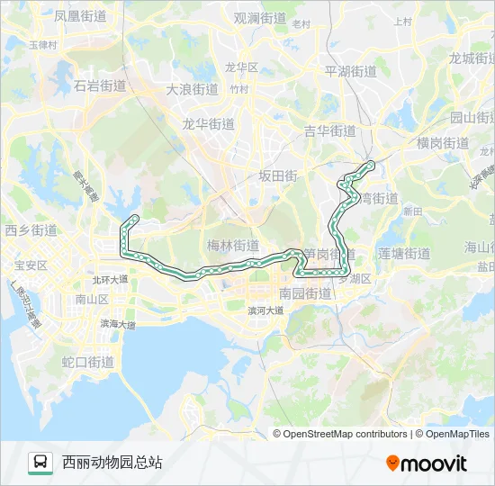 M203 Bus Line Map