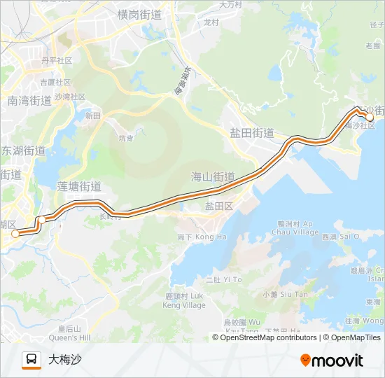公交大梅沙假日专1路的线路图