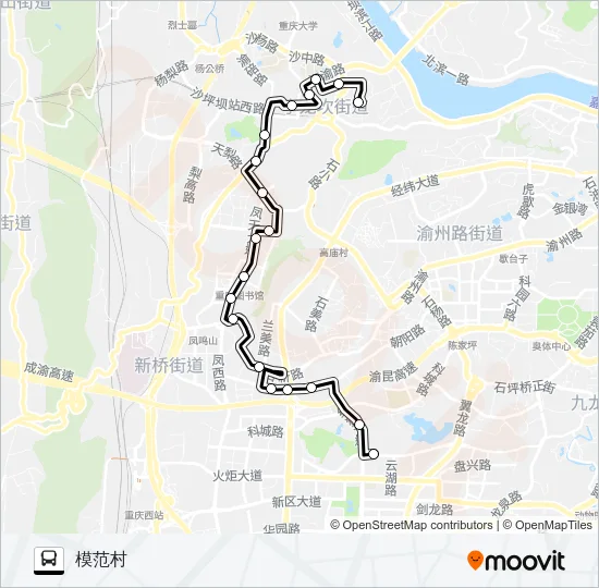 807路 Bus Line Map