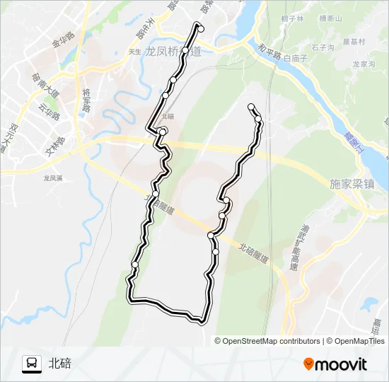 595路 Bus Line Map