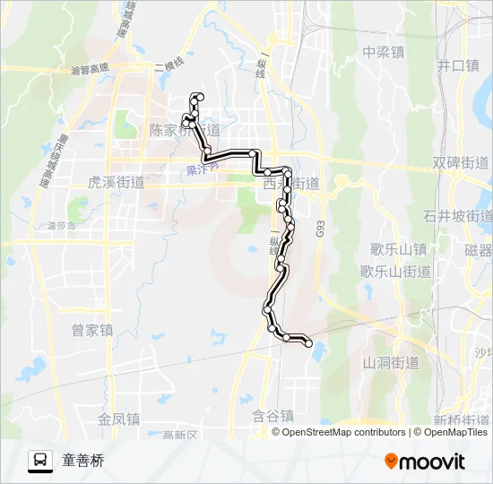 295路 Bus Line Map