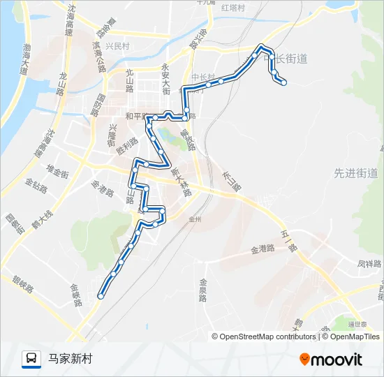 公交金州101加车路的线路图