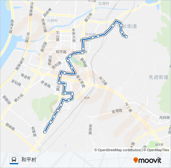 金州101加车 Bus Line Map