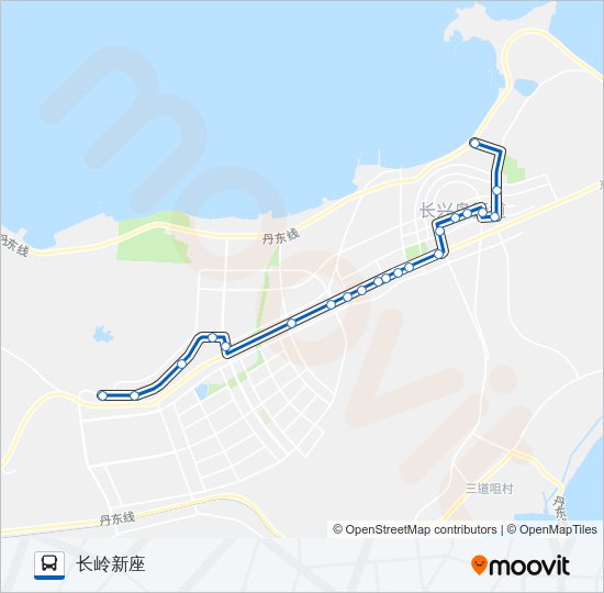 公交长兴岛113路的线路图