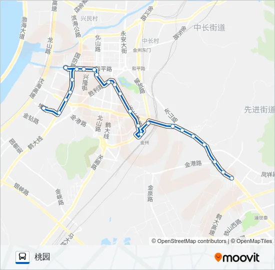 金州105路加车 Bus Line Map
