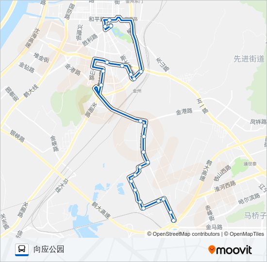 公交金州107支线路的线路图