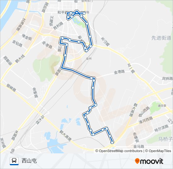 公交金州107支线路的线路图