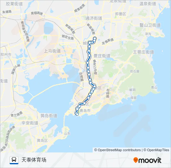 306路专线 Bus Line Map