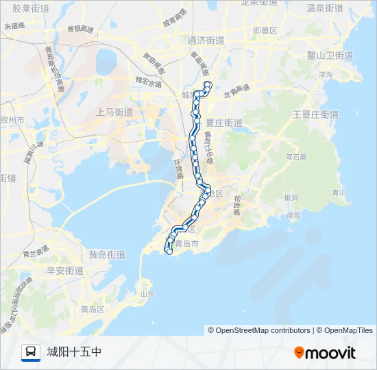 306路专线 Bus Line Map