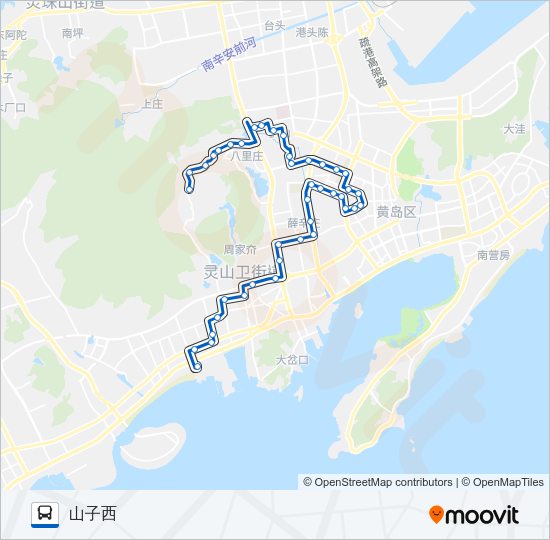 开发区21路山子西定点延伸线 Bus Line Map