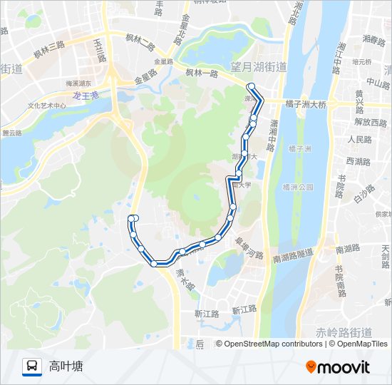 305路 Bus Line Map