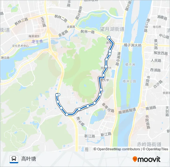 305路 Bus Line Map