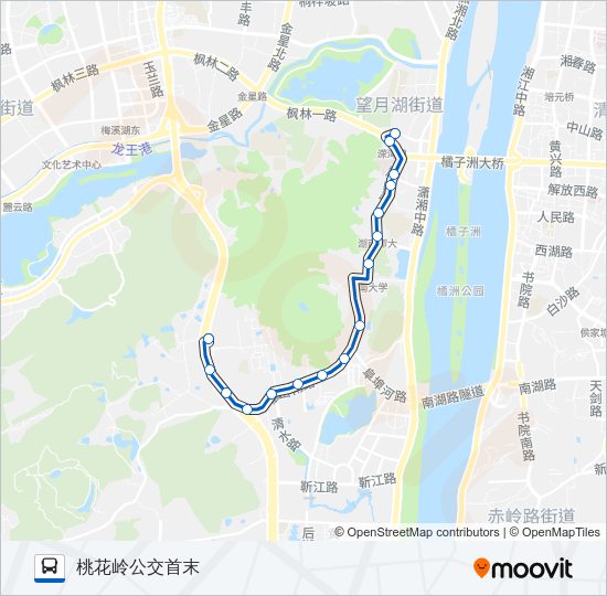 公交305路的线路图