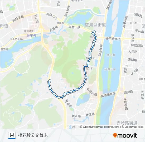 305路 Bus Line Map