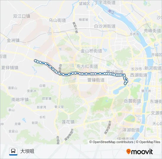 W202路 Bus Line Map