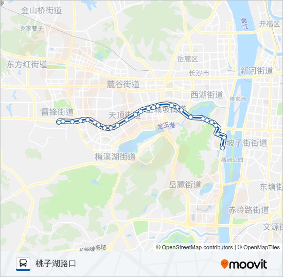 临315路 bus Line Map