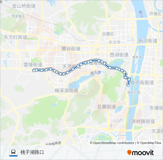 临315路 Bus Line Map