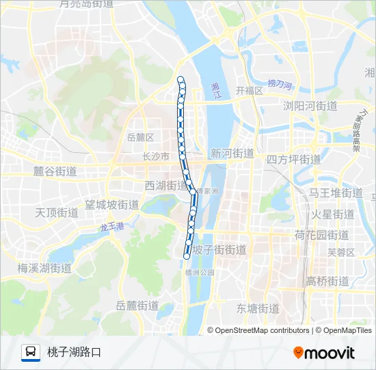 公交临318路的线路图