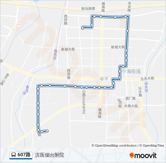 公交607路的线路图