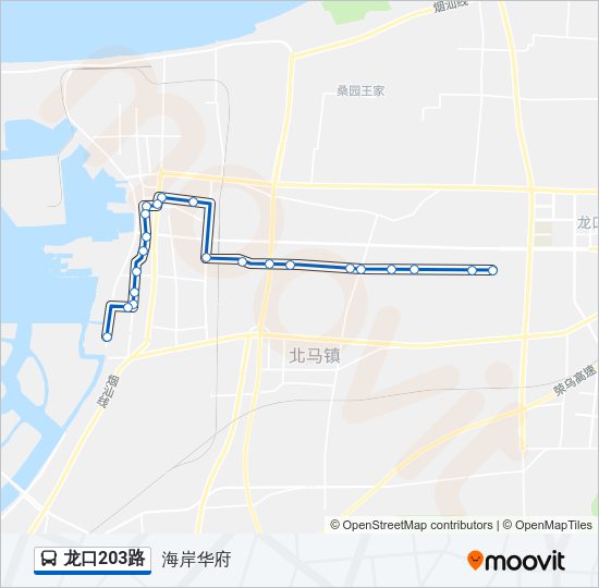 公交龙口203路的线路图