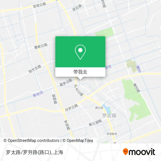 罗太路/罗升路(路口)地图