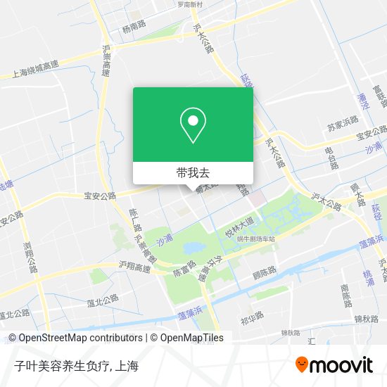 子叶美容养生负疗地图