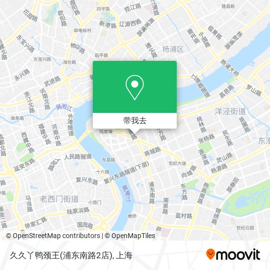 久久丫鸭颈王(浦东南路2店)地图