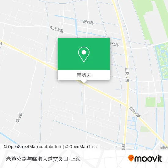 老芦公路与临港大道交叉口地图