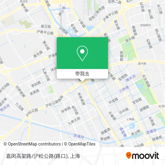 嘉闵高架路/沪松公路(路口)地图
