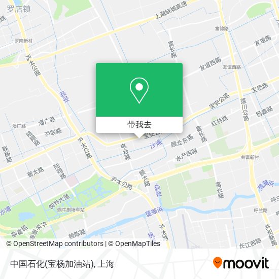 中国石化(宝杨加油站)地图