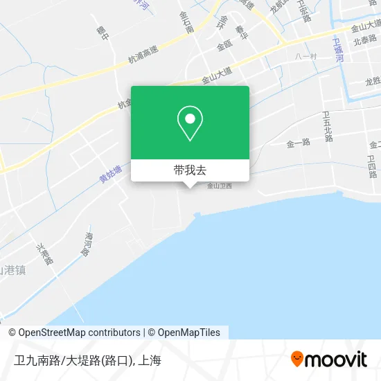 卫九南路/大堤路(路口)地图