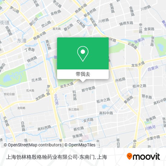上海勃林格殷格翰药业有限公司-东南门地图