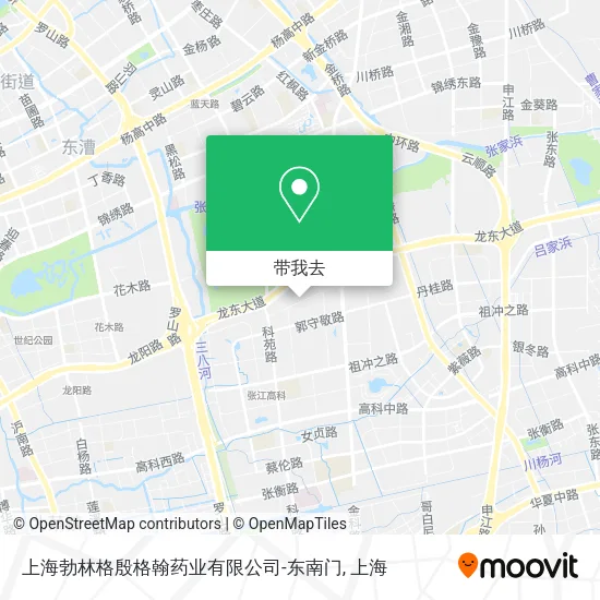上海勃林格殷格翰药业有限公司-东南门地图