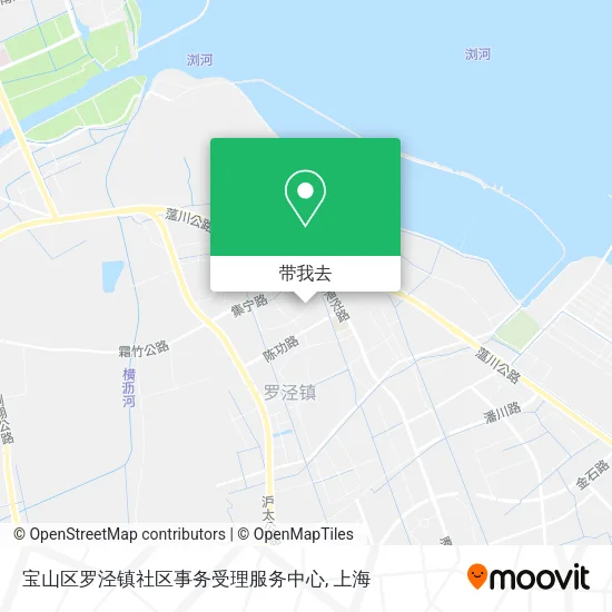 宝山区罗泾镇社区事务受理服务中心地图