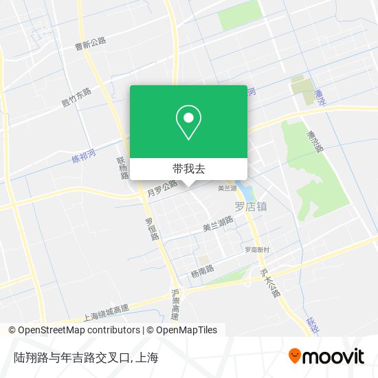 陆翔路与年吉路交叉口地图