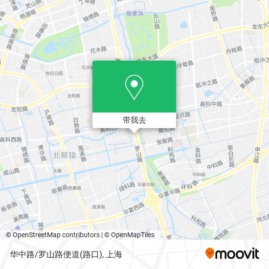 华中路/罗山路便道(路口)地图