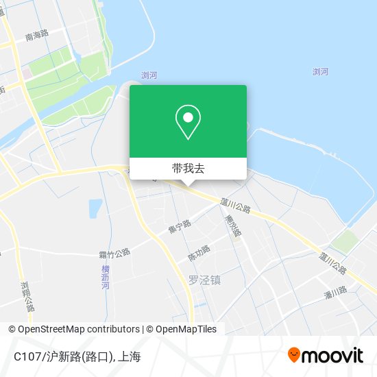 C107/沪新路(路口)地图