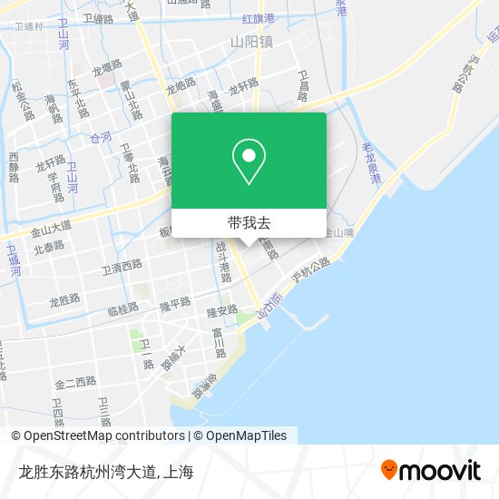 龙胜东路杭州湾大道地图