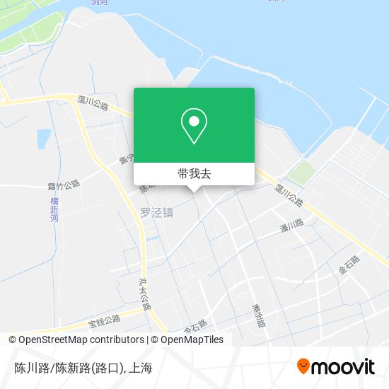 陈川路/陈新路(路口)地图