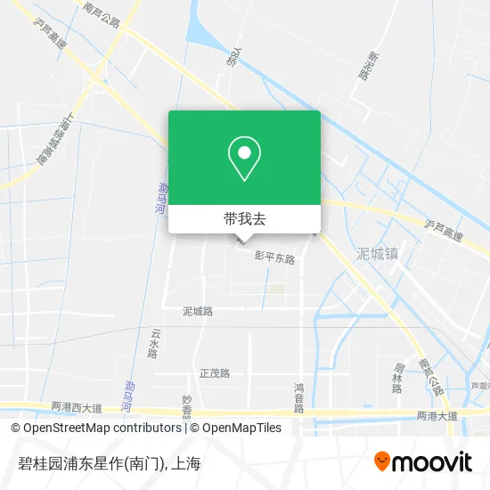 碧桂园浦东星作(南门)地图
