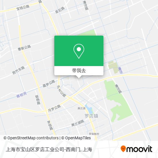 上海市宝山区罗店工业公司-西南门地图