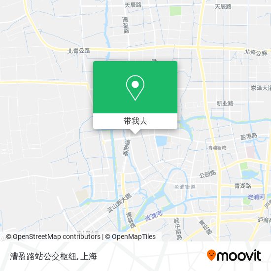 漕盈路站公交枢纽地图