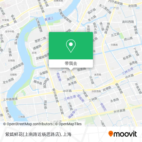 紫嫣鲜花(上南路近杨思路店)地图