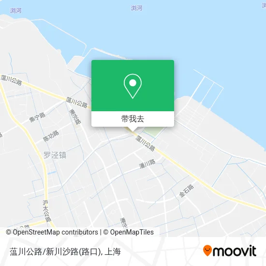 蕰川公路/新川沙路(路口)地图