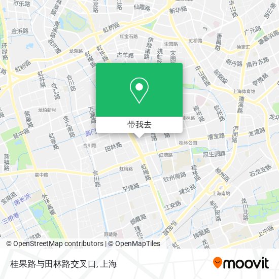 桂果路与田林路交叉口地图